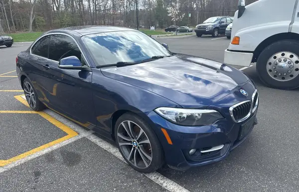 WBA1G9C59GV726137 2016 BMW 2ER - Image 1