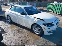 WBA1G9C5XGV598331 2016 BMW 2ER