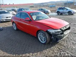 WBA1G9C5XGV598667 2016 BMW 2ER