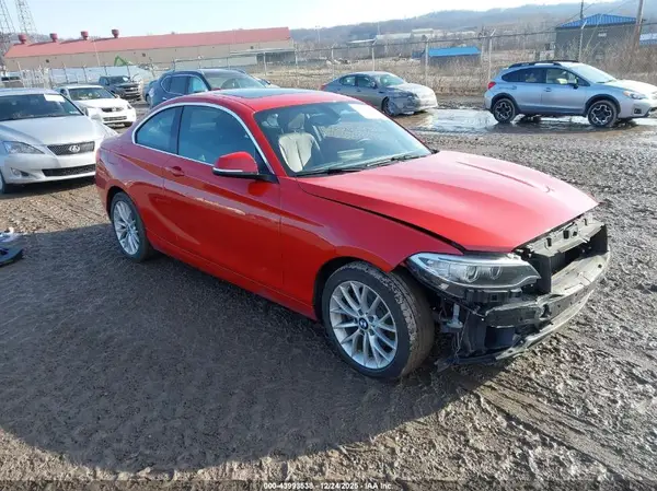 WBA1G9C5XGV598667 2016 BMW 2ER - Image 1