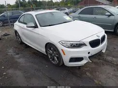 WBA1J7C50GV359814 2016 BMW M2