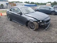 WBA1J7C51GV359983 2016 BMW M2