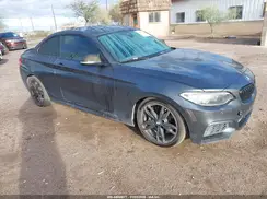 WBA1J7C57GV360393 2016 BMW M2