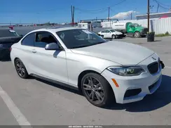 WBA1J7C59GV290007 2016 BMW 2ER