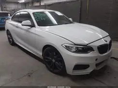 WBA1J7C5XGV359139 2016 BMW M2