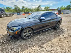 WBA1J9C50GV372008 2016 BMW 2ER