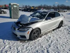 WBA1J9C50GV372199 2016 BMW M2