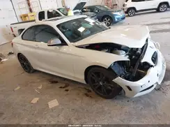 WBA1J9C53GV371600 2016 BMW M2