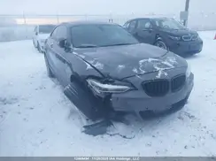WBA1J9C53GV372388 2016 BMW 2ER