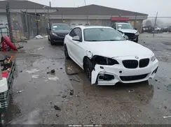 WBA1J9C54GV372156 2016 BMW M2