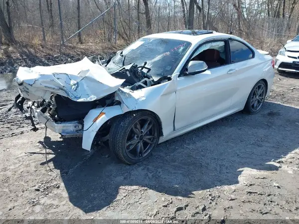 WBA1J9C59GV696526 2016 BMW M2 - Image 2