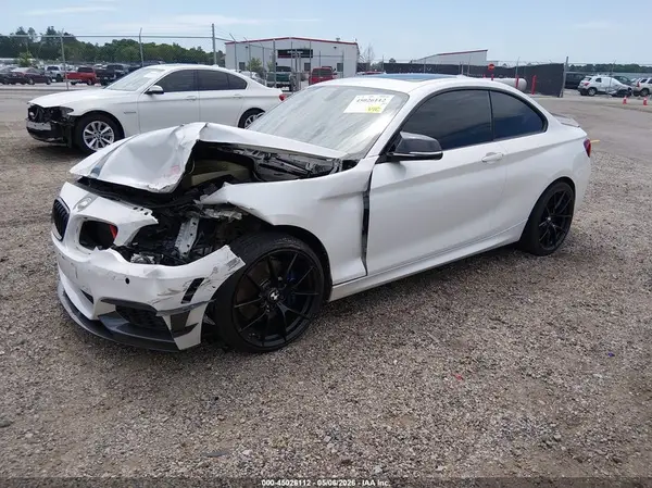 WBA1J9C5XGV696552 2016 BMW M2 - Image 2