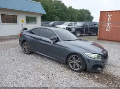 WBA1J9C5XGV696695 2016 BMW M2