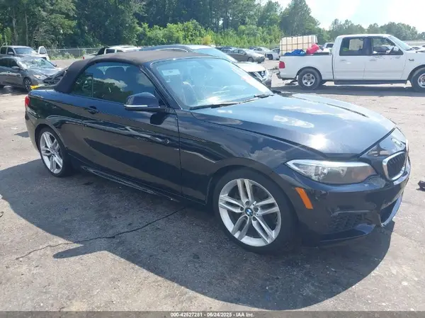 WBA1K9C51GV322117 2016 BMW 2ER - Image 1