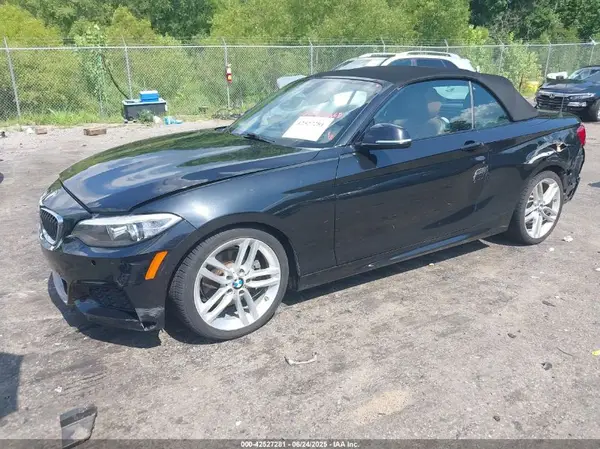 WBA1K9C51GV322117 2016 BMW 2ER - Image 2