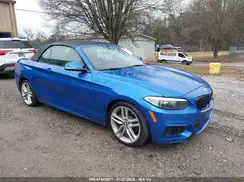 WBA1K9C51GV710433 2016 BMW 2ER