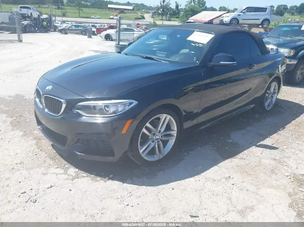 WBA1K9C52GV321848 2016 BMW 2ER - Image 2