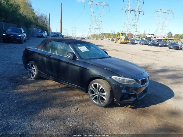 WBA1K9C52GV710845 2016 BMW 2ER - Image 1