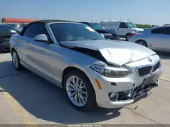 WBA1K9C53GV710188 2016 BMW 2ER