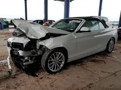 WBA1K9C54GV710166 2016 BMW 2ER