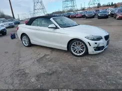 WBA1K9C55GV322265 2016 BMW 2ER