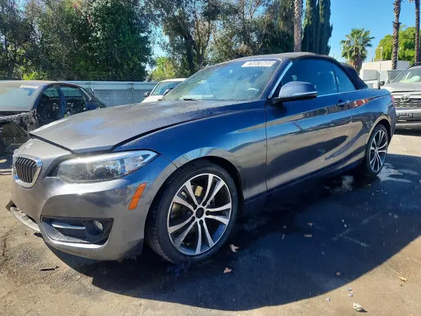 WBA1K9C55GV322718 2016 BMW 2ER - Image 1