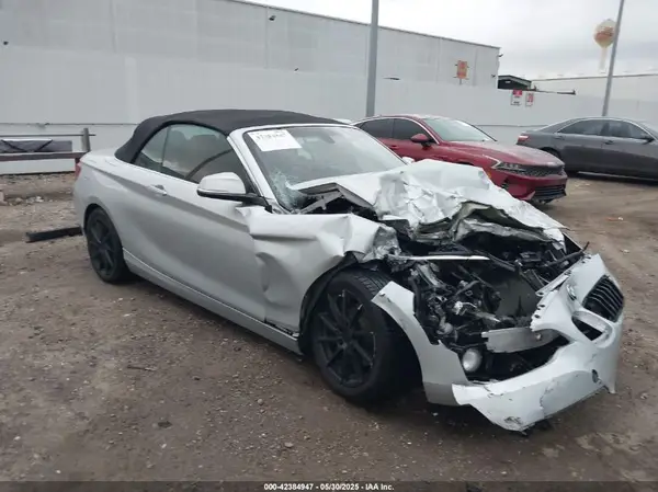 WBA1K9C55GV710399 2016 BMW 2ER - Image 1