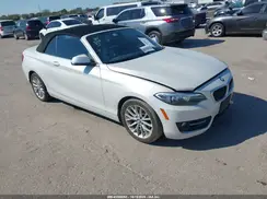 WBA1K9C56GV322422 2016 BMW 2ER