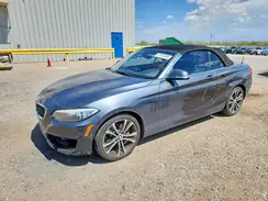 WBA1K9C56GV710072 2016 BMW 2ER