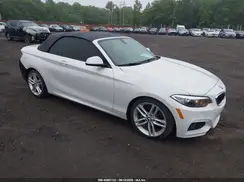 WBA1K9C56GV710105 2016 BMW 2ER