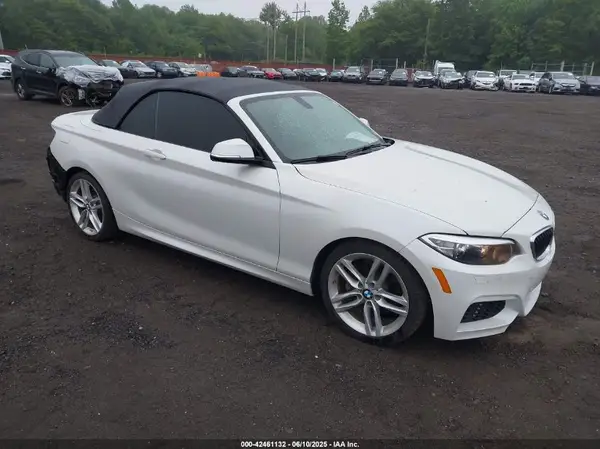 WBA1K9C56GV710105 2016 BMW 2ER - Image 1