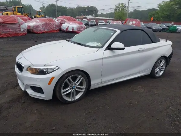 WBA1K9C56GV710105 2016 BMW 2ER - Image 2