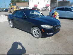 WBA1K9C56GV710234 2016 BMW 2ER