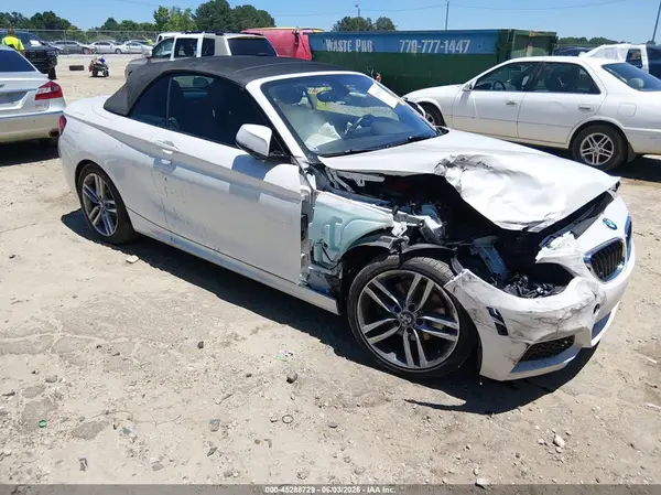 WBA1K9C56GV710363 2016 BMW 2ER - Image 1