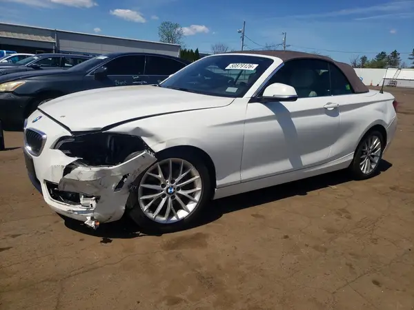 WBA1K9C56GV710668 2016 BMW 2ER - Image 1