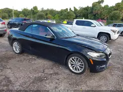 WBA1K9C56GV710895 2016 BMW 2ER