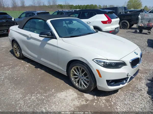 WBA1K9C57GV321974 2016 BMW 2ER - Image 1
