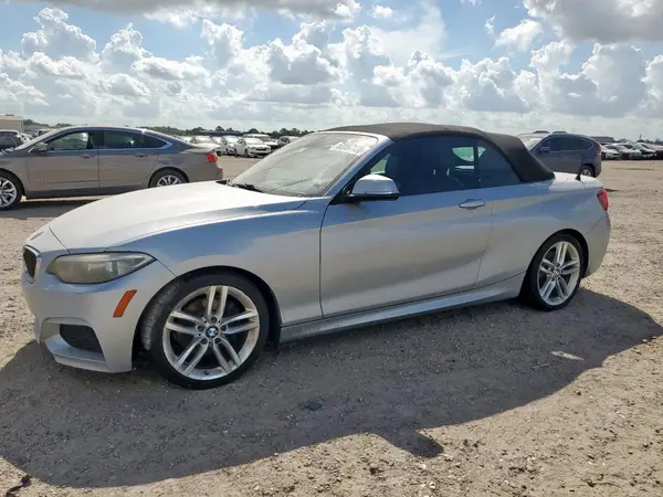 WBA1K9C57GV711036 2016 BMW 2ER - Image 1