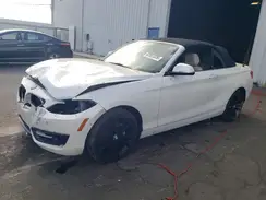 WBA1K9C59GV321748 2016 BMW 2ER