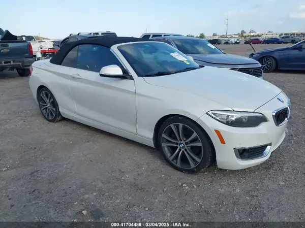 WBA1K9C59GV321989 2016 BMW 2ER - Image 1