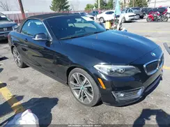 WBA1K9C59GV710020 2016 BMW 2ER