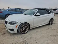 WBA1K9C59GV710325 2016 BMW 2ER