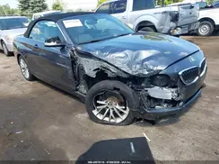 WBA1K9C5XGV321693 2016 BMW 2ER