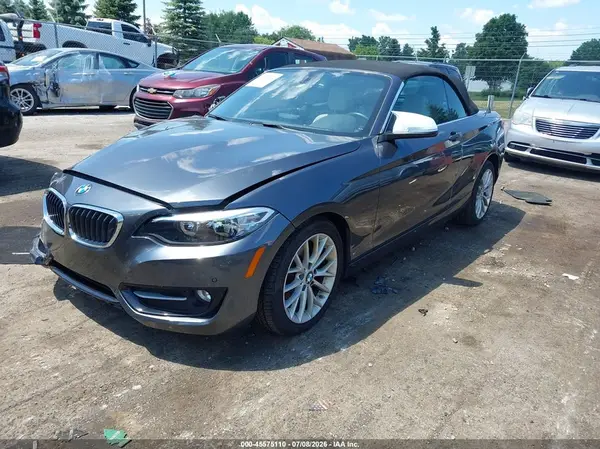 WBA1K9C5XGV321693 2016 BMW 2ER - Image 2