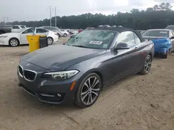 WBA1K9C5XGV710009 2016 BMW 2ER