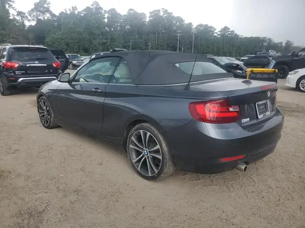 WBA1K9C5XGV710009 2016 BMW 2ER - Image 2