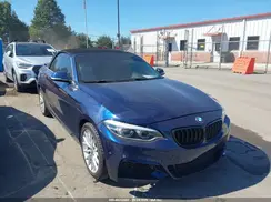WBA1L9C50GV324969 2016 BMW 2ER