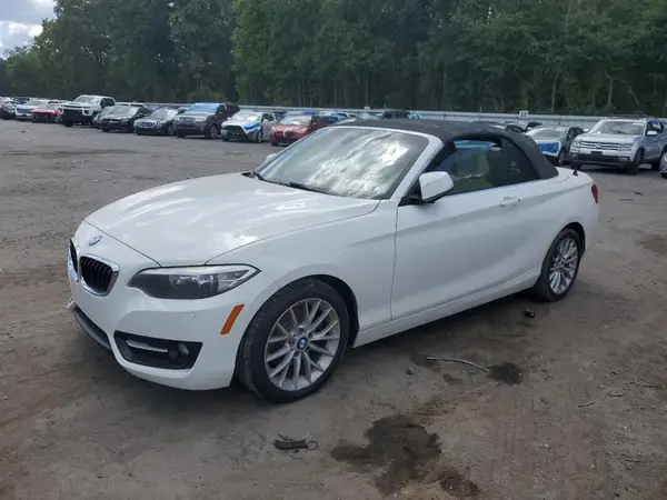 WBA1L9C50GV325166 2016 BMW 2ER - Image 1