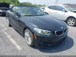 WBA1L9C50GV767672 2016 BMW 2ER