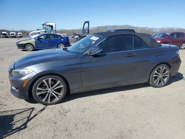 WBA1L9C51GV767356 2016 BMW 2ER - Image 1